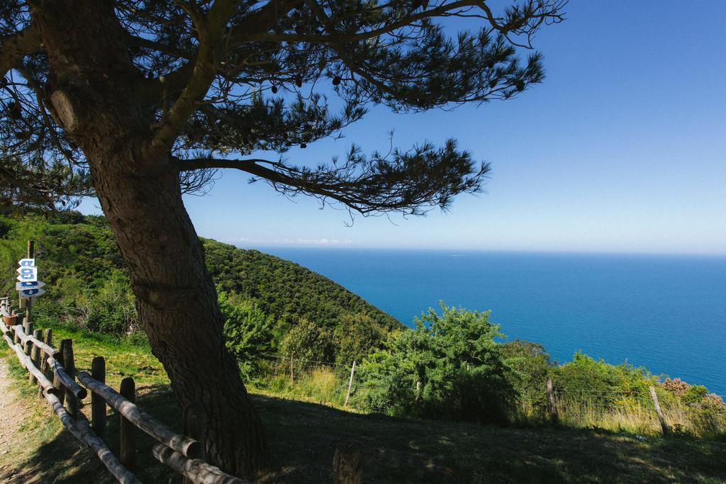 Torre Di Baratti Bio Resort 波普洛尼亚 外观 照片