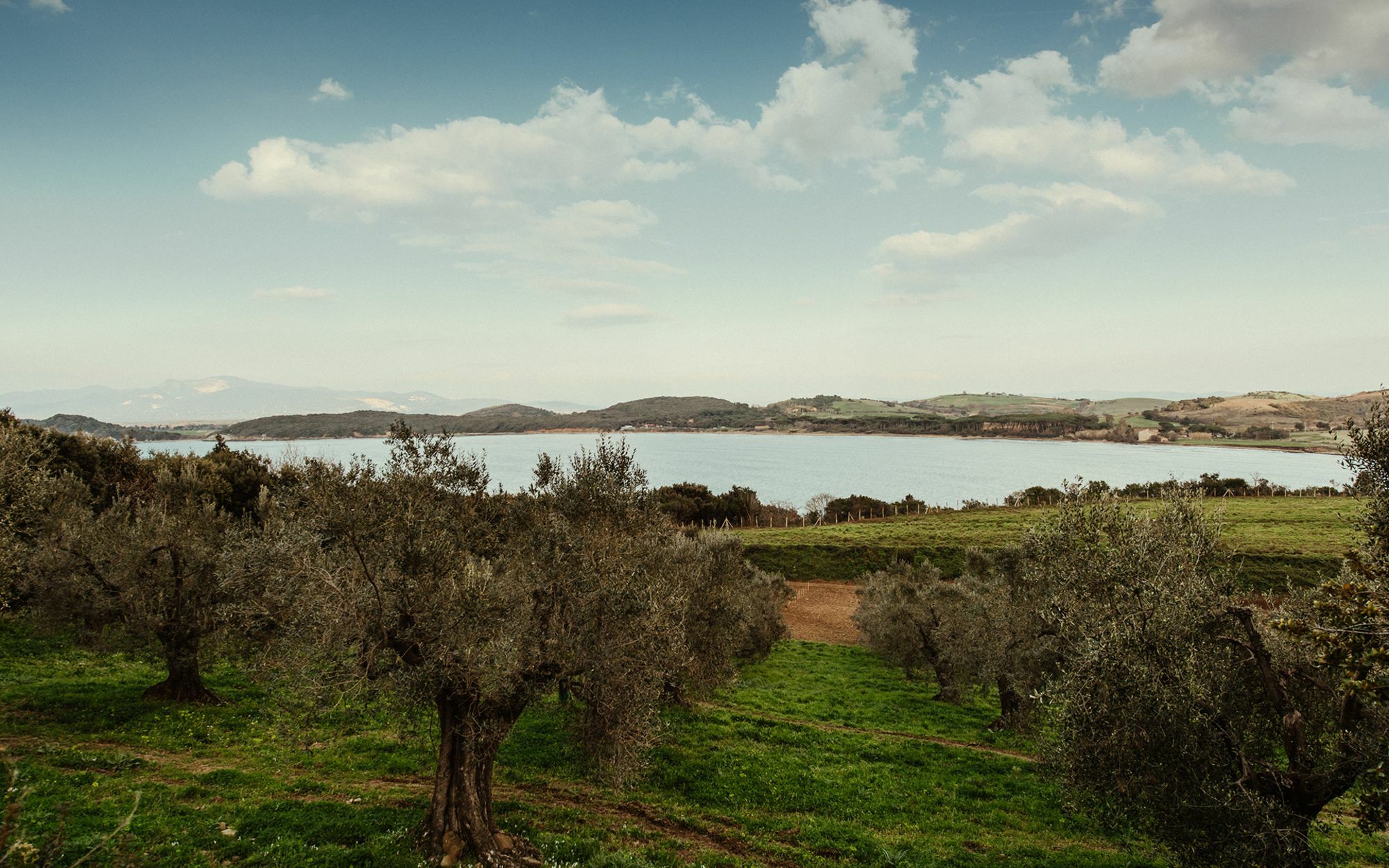 Torre Di Baratti Bio Resort 波普洛尼亚 外观 照片